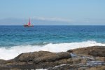 IMG_4661.JPG