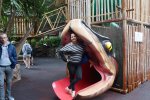 DSC00726.JPG