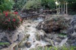 DSC00779.JPG