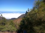 teide.jpeg