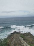 IMG_20191114_135907.jpg