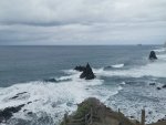 IMG_20191114_144458.jpg