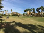 IMG_3727.JPG